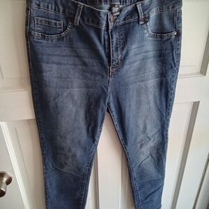 d.j. Jeans Plus Size 14 Stone Washed Skinny Leg Denim Blue Jeans